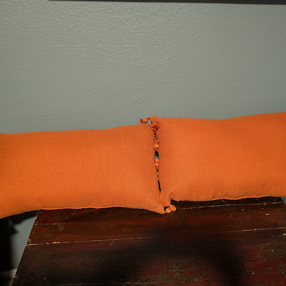 Orange Home Bedding Pillows Set Of 2